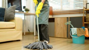 Limpiezas de casas profesional